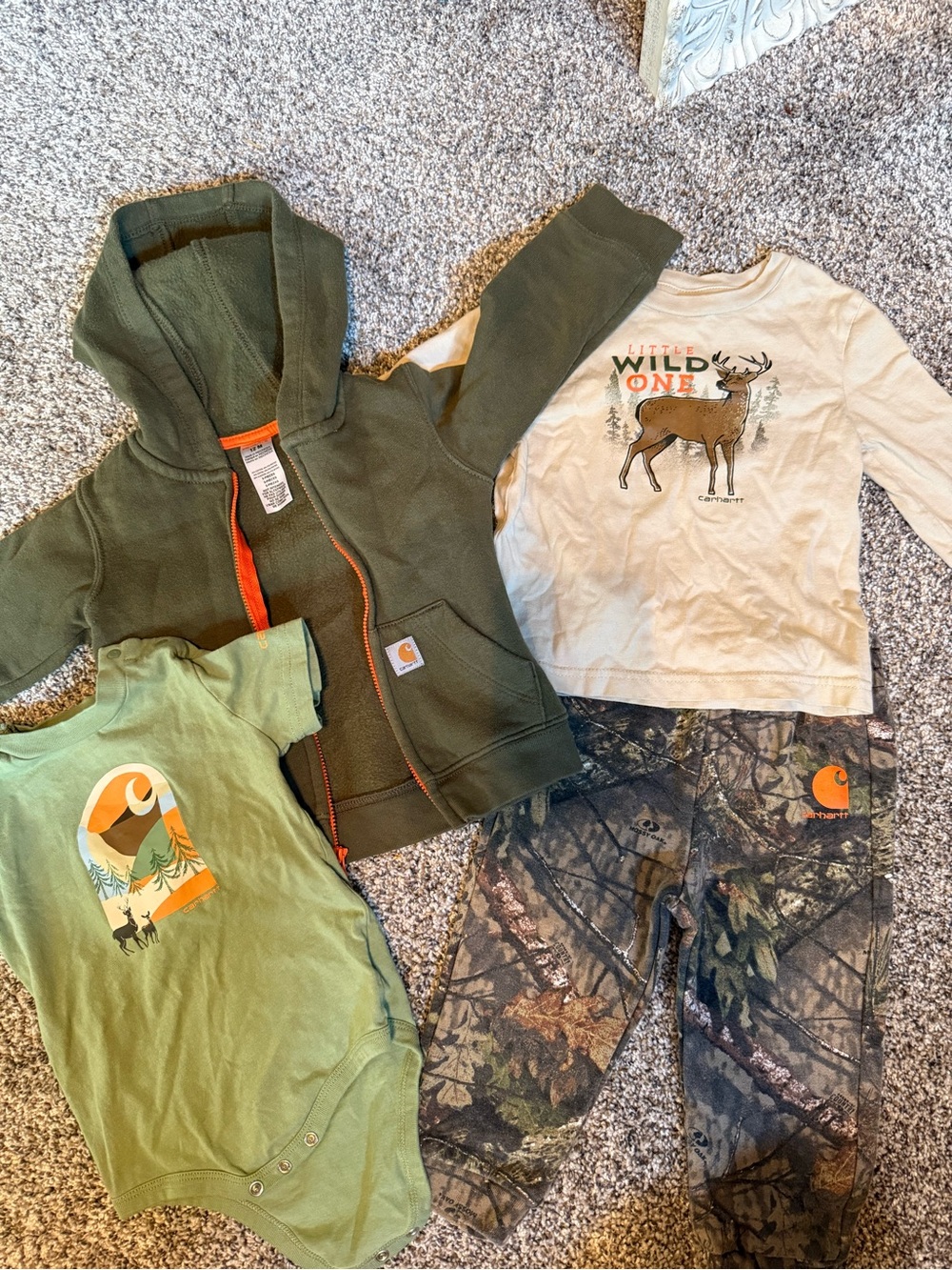 Carhartt Kids Olive Hoodie & Green Bundle